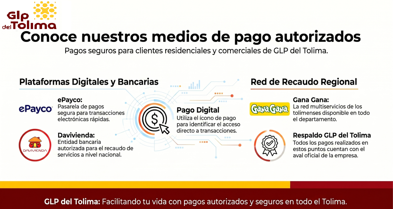 WEB 01